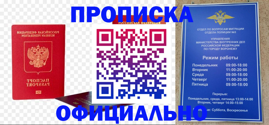 прописка иностранных граждан в Фрязино